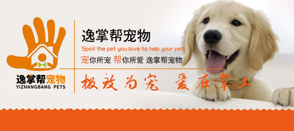 寵物服務(wù) 寵物服務(wù)